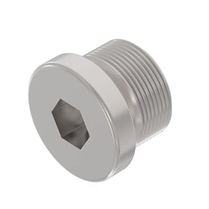 Fitting Plug