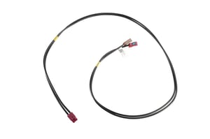 Image of 42859182