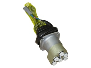 Image of 1001080256
