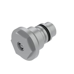 Check Valve
