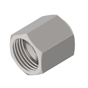 Fitting Plug