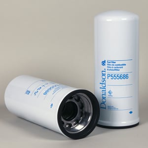 Image of P555686