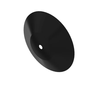 Disk