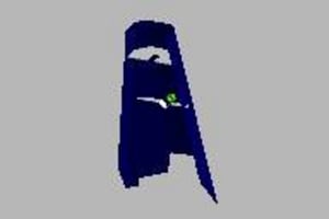 Image of 73003980