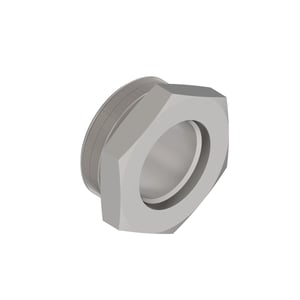 Fitting Plug