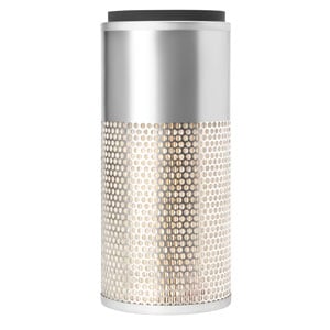 Filter, Air, Primary (QTY 1)