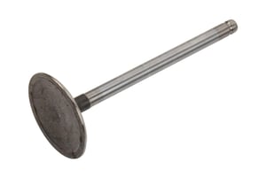 Image of 12577696
