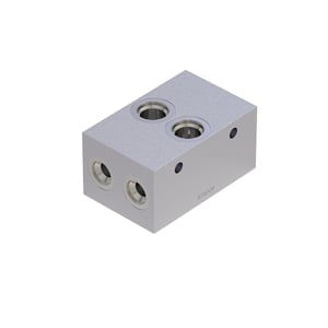 Manifold