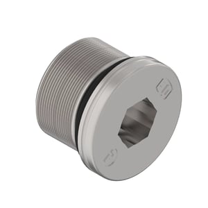 Fitting Plug