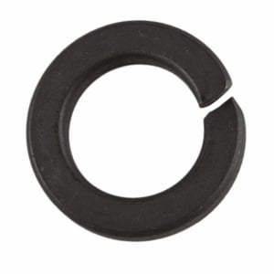 Image of 34798S2