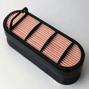 Donaldson P606121 Safety Air Filter