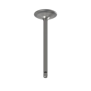 Intake Valve