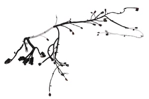 Image of 22822678