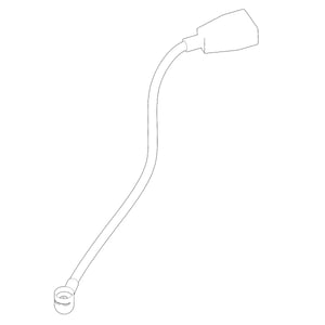 Image of AUC12488