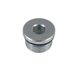 PLUG, SOCKET HEAD W/O-RING