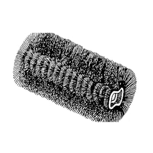 Brush