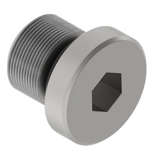 Fitting Plug