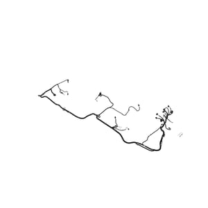 Image of AUC16408