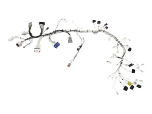 Image of 1001243261