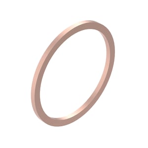 Sealing Ring