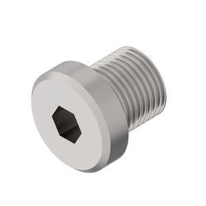 Fitting Plug
