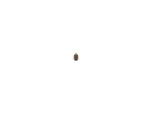 Image of 3900141