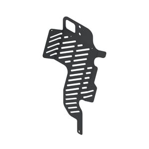 Shield
