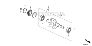 Image of 13620-ZDY-000
