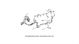 Image of 39033144