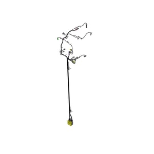 Image of DZ100550