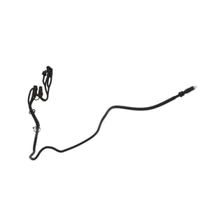 Image of AXX11952