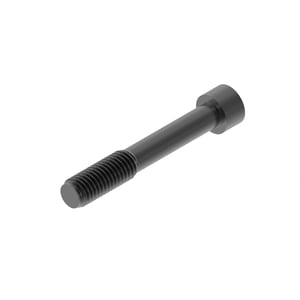 Screw