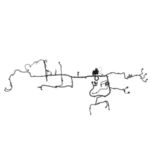 Image of AUC13789