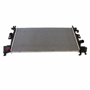 Image of RAD81