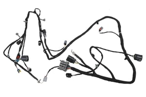 Image of 23469731
