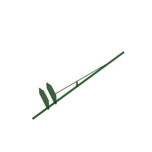 Image of AA75091