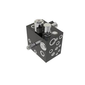 Manifold