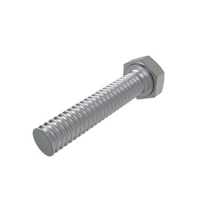 Screw