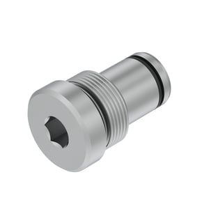 Check Valve