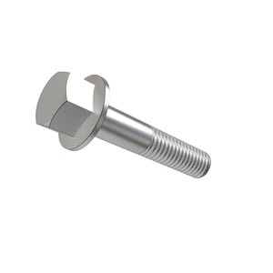 Screw