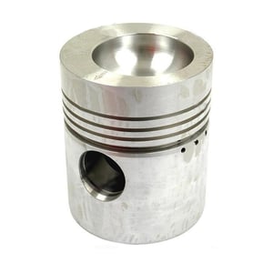 Image of 169819FP