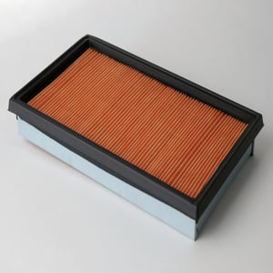 Donaldson P500063 Engine Air Filter
