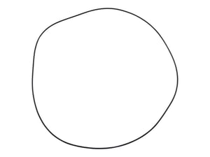 O-RING
