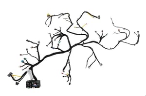 Image of 42717337