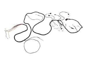 Image of 4923281