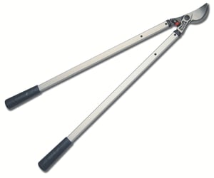 Image of pl40