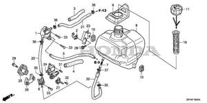 Image of 17629-ZV0-000