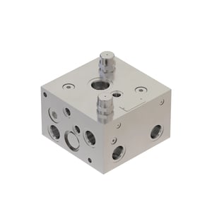 Manifold