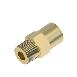 Image of AN274265