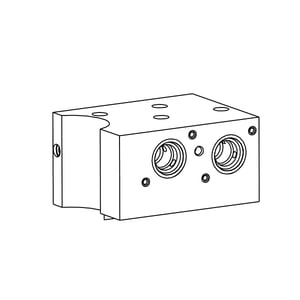 Manifold